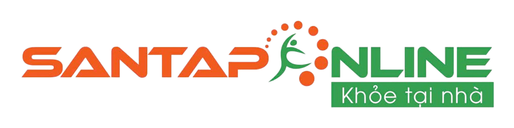 santaponline logo